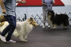 IMG_5042-scaled