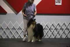 IMG_5046-scaled