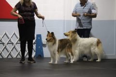 IMG_5047-scaled