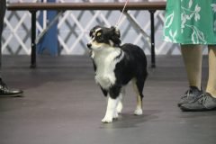 IMG_5065-scaled