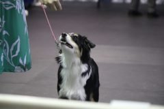IMG_5079-scaled