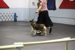 IMG_5082-scaled