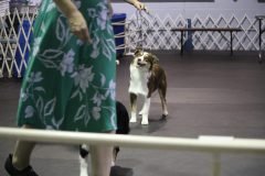 IMG_5085-scaled