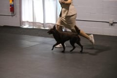 IMG_5152-scaled