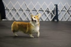 IMG_5172-scaled
