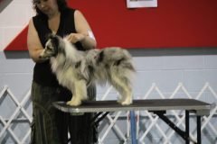 IMG_5185-scaled