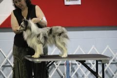 IMG_5186-scaled