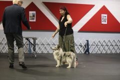 IMG_5195-scaled