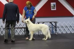 IMG_5199-scaled