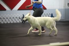 IMG_5205-scaled