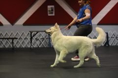 IMG_5207-scaled