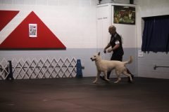 IMG_5213-scaled