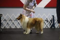 IMG_5229-scaled