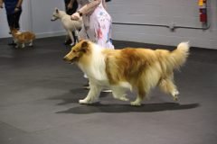 IMG_5246-scaled