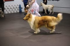 IMG_5247-scaled