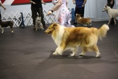 IMG_5248-scaled