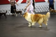 IMG_5249-scaled