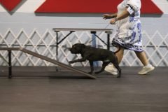 IMG_5336-scaled