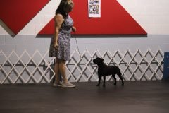 IMG_5337-scaled