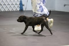 IMG_5343-scaled