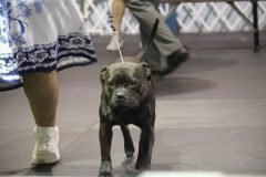 IMG_5347-scaled