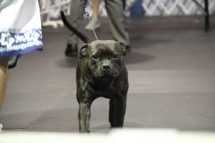 IMG_5348-scaled