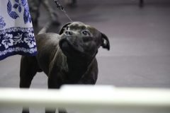 IMG_5349-scaled