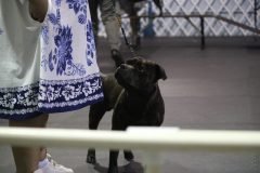 IMG_5350-scaled