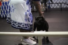IMG_5353-scaled