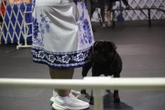 IMG_5354-scaled