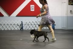 IMG_5356-scaled