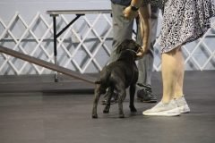 IMG_5358-scaled