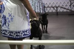 IMG_5360-scaled