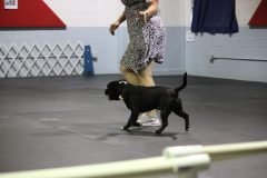 IMG_5381-scaled