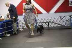 IMG_5384-scaled