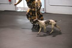 IMG_5403-scaled