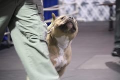 IMG_5430-scaled