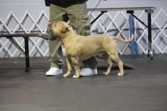 IMG_5434-scaled