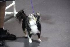 IMG_5460-scaled