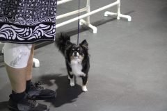IMG_5464-scaled