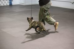 IMG_5474-scaled