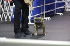 IMG_5488-scaled