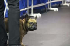 IMG_5490-scaled