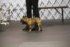 IMG_5499-scaled