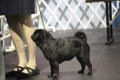 IMG_5523-scaled