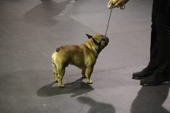 IMG_5528-scaled
