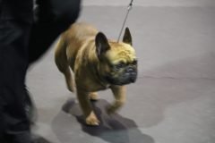 IMG_5546-scaled