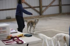 1_IMG_6964-1-scaled