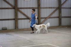 IMG_6897-1-scaled