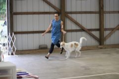 IMG_6898-1-scaled
